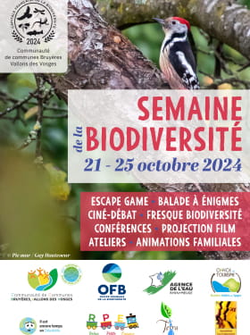 FRESQUE DE LA BIODIVERSITÉ - SEMAINE DE LA BIODIVERSITÉ Le 25 oct 2024