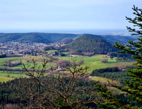 JOURNÉES DU PATRIMOINE - BALADE SUR LES ARBRES REMARQUABLES DANS LE MASSIF DE L