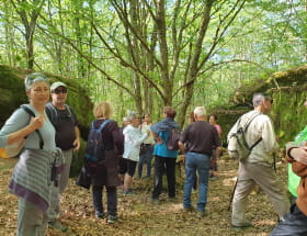 RALLYE PÉDESTRE Du 16 mai au 17 oct 2024