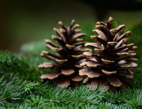 EN ATTENDANT NOËL - CRÉATION DE COURONNE DE NOËL