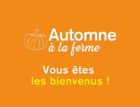 AUTOMNE À LA FERME : VISITE DÉCOUVERTE DE L