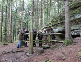 VISITE GUIDÉE CHAMP DE BATAILLE DE LA CHAPELOTTE Le 17 nov 2024