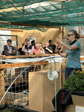 VISITE DE LA FERME AQUAPONIQUE DE L