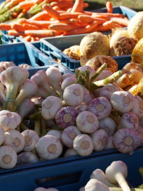 MARCHÉ PAYSAN Du 6 oct au 1 déc 2024