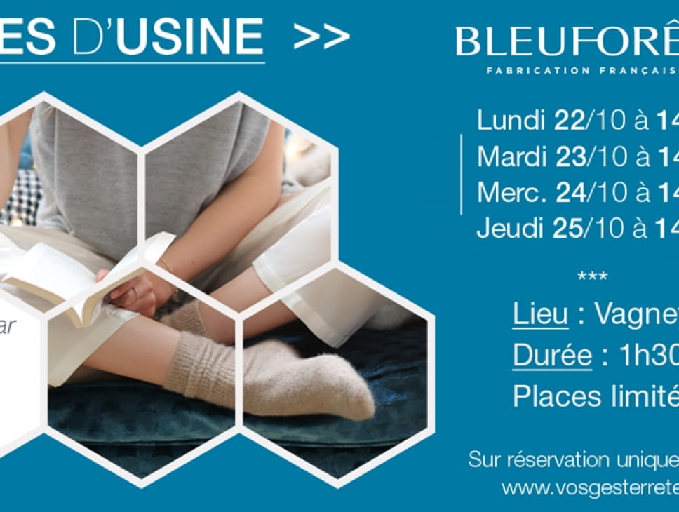 La chaussette coton veloutée, Bleuforêt, Magasinez des Chaussettes pour  Femme en ligne